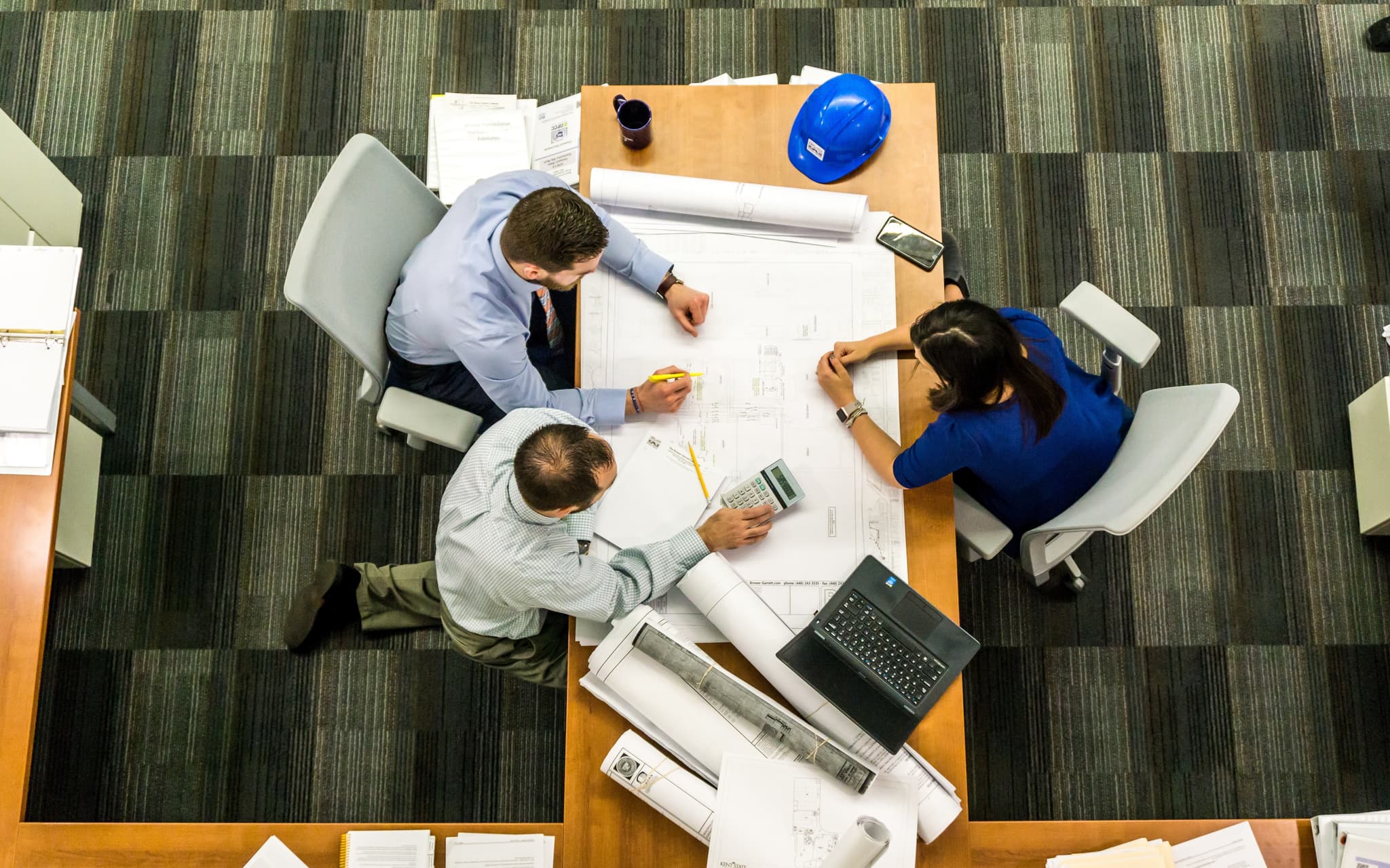 Three people working on a plant